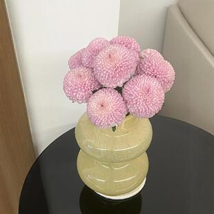 Pink Table Tennis Chrysanthemum Yunnan Kunming Base Straight Hair Sf Home Office Photo Real Flower Water Super Long Flowering Period