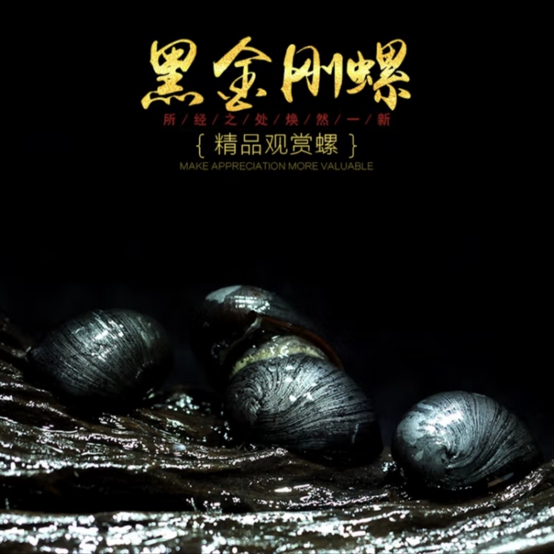 Инструмент для удаления черных алмазных улиток, тропическая декоративная улитка, не ест водные растения, живая яблочная улитка, зебровая улитка, чистка домашних животных