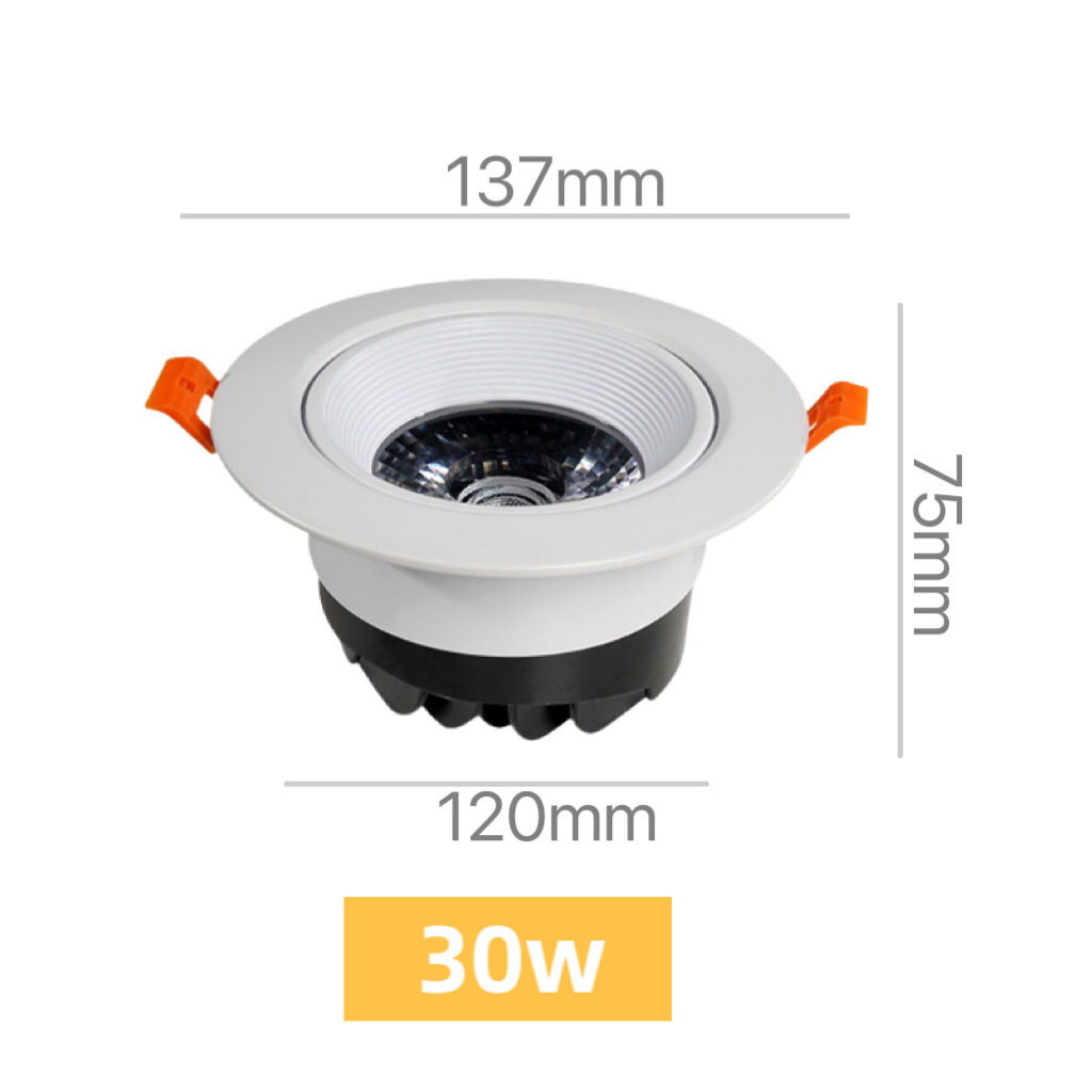HUILONG LED 다이 캐스팅 천장 램프 COB30W 스포트라이트 슈퍼마켓 매장 의류 매장 도매 머리카락 세대