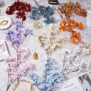 ���x�m�����滨���ֹ�������c�������b������l��Y���õ��Ż�