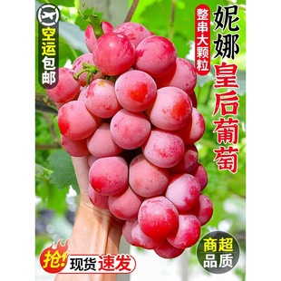 ���Ȼʺ����џo�Ѽt��ʯ���rˮ��������Ů�����ȼt��������]