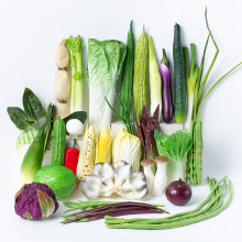 蔬菜模型假生菜叶西兰花包菜水果装饰道具玩具果蔬早教儿童