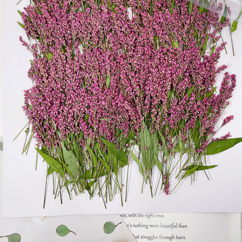 微信图片_20220919190544