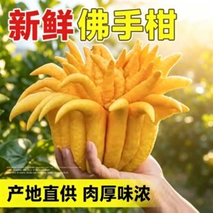 ���÷��ֹϔ[�����r���ָ��r����Ȼ��޹�r�����w��ؔ��Ʒ���ָ�