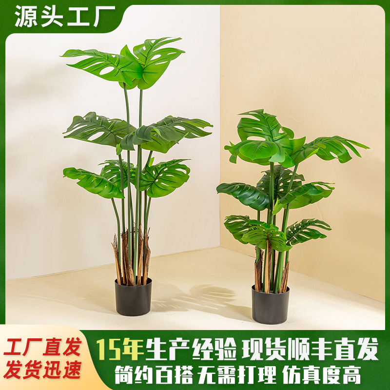 Simulación de estilo nórdico, plantas verdes, monstera, plantas en macetas, sala de estar grande, decoración de bonsai de interior, plantas de tortuga