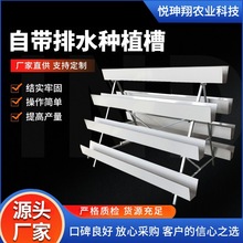 ����Nֲ�۲�ݮ�߲�����ܟo���������w�Nֲ�۴���Nֲ���w�Nֲ��