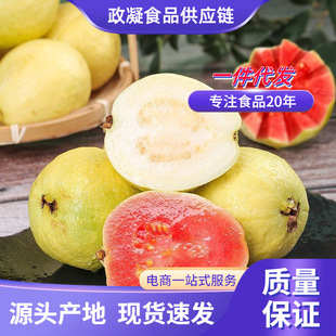 �������ݼt�İŘ� ���l3�����r�t��ʯ��t������ܛ�Ř�����ˮ��