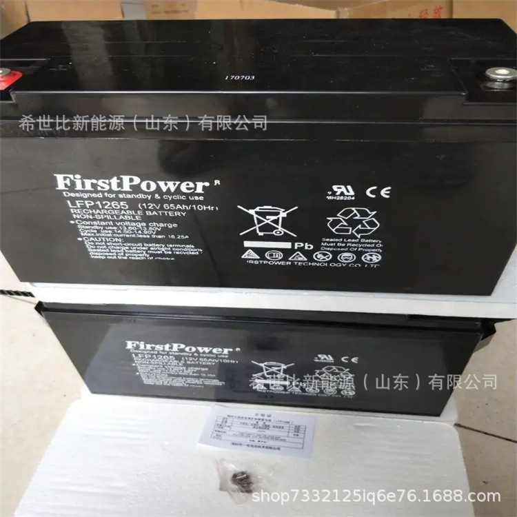 FirstPower一电蓄电池LFP12230 12V230AH机房UPS/EPS电源配套电池
