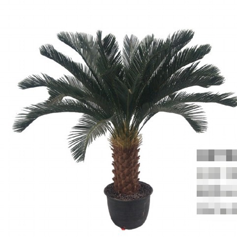 Simulación de planta de arce de hierro grande en maceta fabricante de árbol de hierro falso al por mayor planta verde decoración artesanía biónica