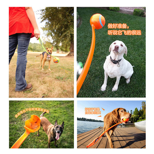 Petmate ball swing cue ball dog retrieval interactive dog bite ball training golden retriever dog walking toy