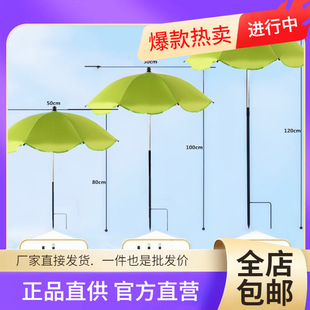 ���l���R�d�羳 ֲ�ﻨ�ܷ�����辰������ꖂ���������