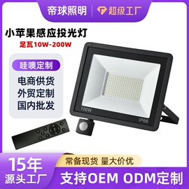 投光灯;泛光灯;太阳能灯