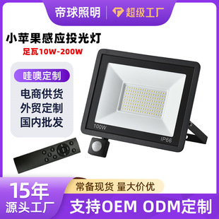 Cross-Border Led Floodlight Little Apple Human Body Sensor Infrared Sensor Floodlight Remote Control Light Control Ultra-Thin Floodlight