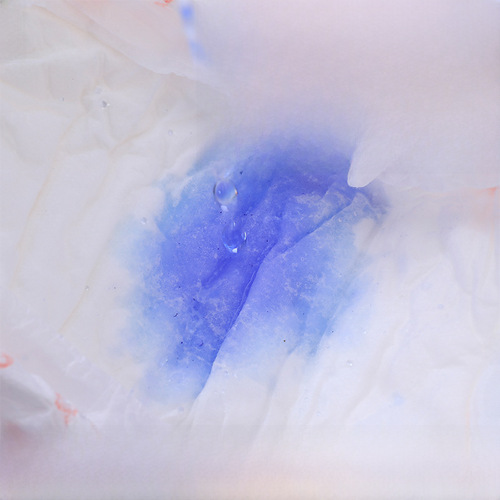 Disposable pet diaper pet urine pad dog sanitary pants pet urine mat dog urine mat large wholesale