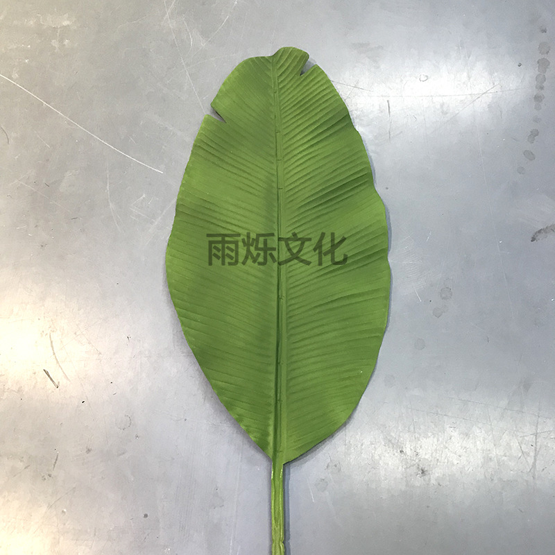 녹색