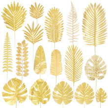 �����ɫ�ؙ��~��Y�����b��~�ӽ�ɫɢβ���~�zӰ�Ĕz���߼�ֲ��