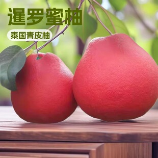 ���_���֘����Ә���t�����ּ޽�̩����Ƥ���ֹ�����箔��Y����