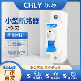 1P16С�͔�·��DZ47-63����΢����l���_C45 32A��·�^�d���o��