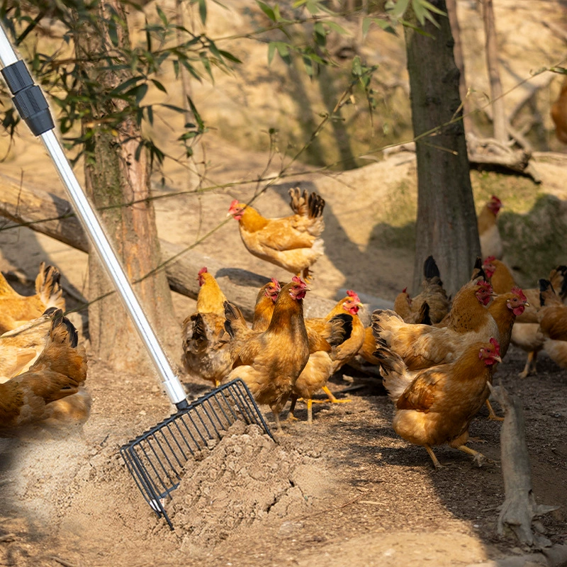 Нержавеющая сталь куриный навоз лопатка телескопическая ручка удлиненная ручка металлическая куриная навоз лопата куриный навоз Специальный инструмент для очистки куриного навоза
