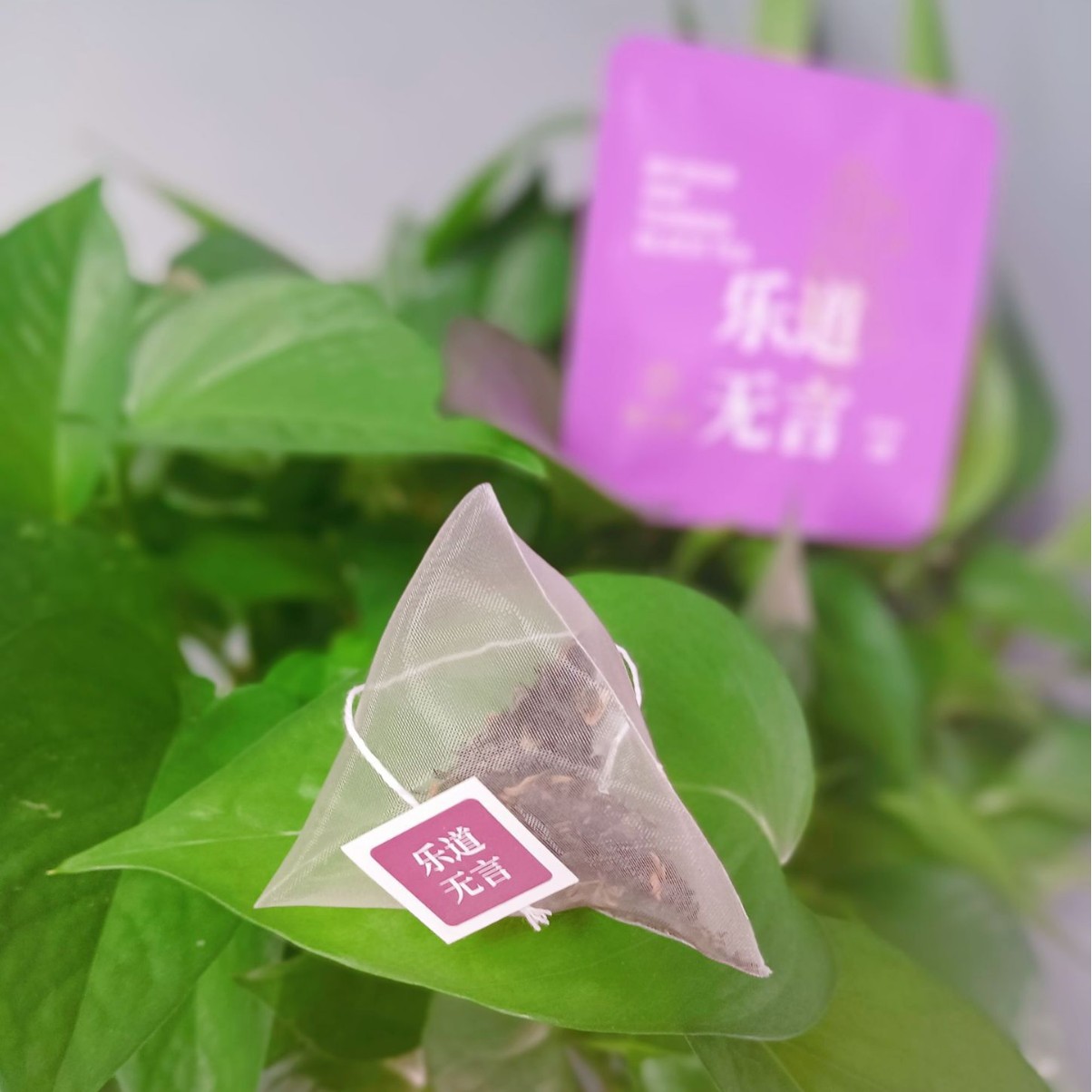 蜜桃乌龙茶包三角包冷热双泡企业团购办公室礼物婚庆伴手礼实用礼