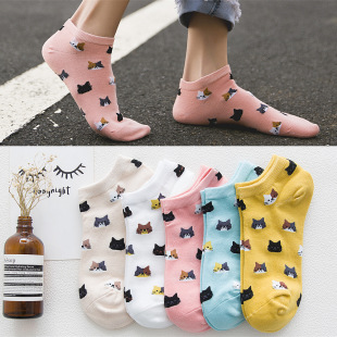 5�p����Ů�m�ӿɐ۴��ļ���ͨ؈�䴬�m�Ӳ��n��ȫ���m�����l�S��