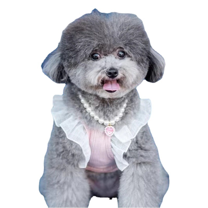 Comercio exterior nuevo collar de mascotas en forma de corazón Cadena de perro gato collar de amor de cristal suministros para mascotas joyería para mascotas al por mayor