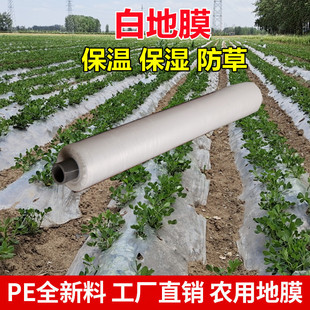 Plastic Film Agricultural Planting Film Agricultural Material Insulation and Moisturizing Agricultural Film White Plastic Film Vegetable Greenhouse Film