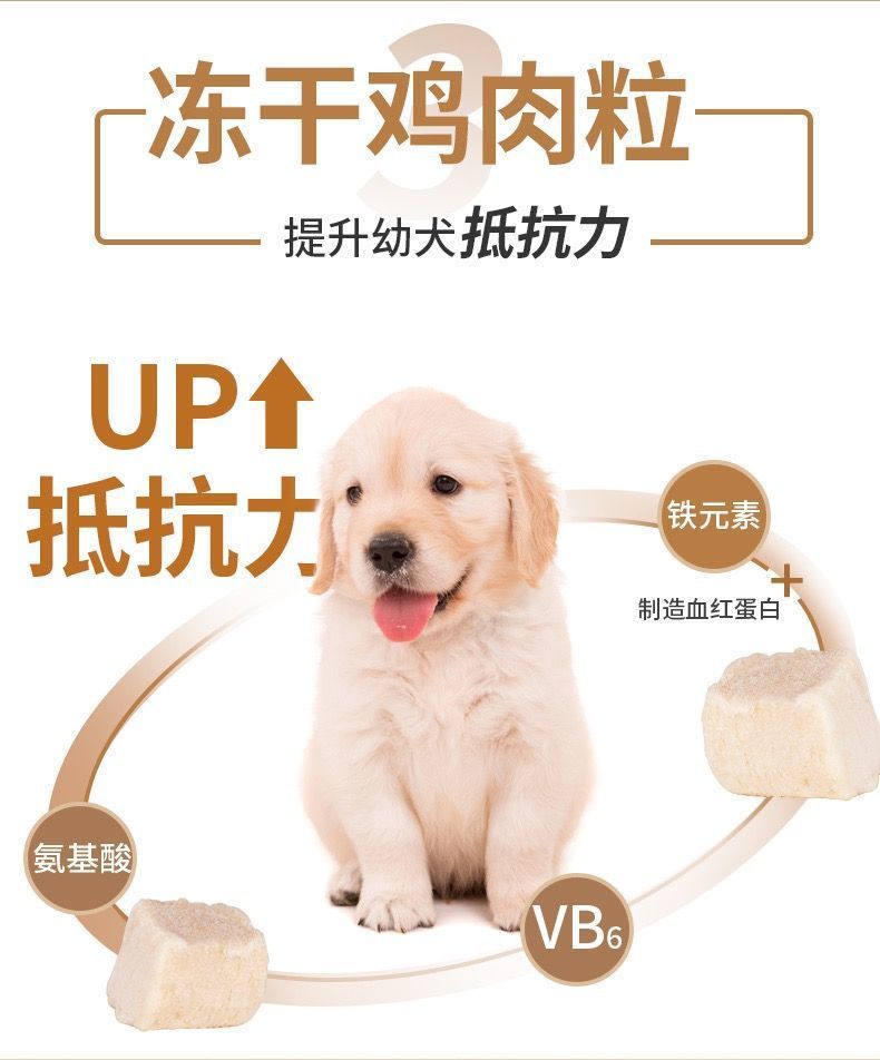 222bfc64-2a1c-4b31-b5f1-adc11ef79ebf.jpe