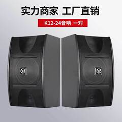 音智達12インチ大出力三分周専門家庭ktv受動音響会議室展示室k歌音対箱