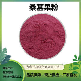 桑葚果粉固体饮料原料水溶桑葚粉1kg/袋现货食品级水溶粉包邮
