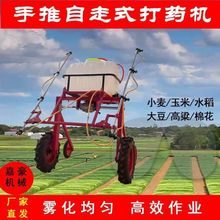 ¿ַșCrÇșCС׸FCʽșCF