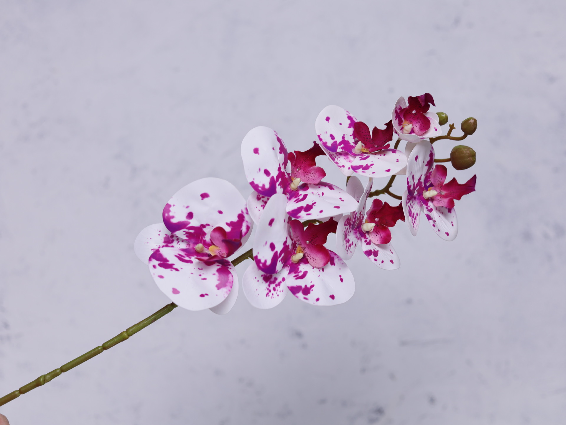 Impresión 3D de 7 cabezas de orquídeas mariposa flor de decoración de flores de alto nivel flor de nicho decoración floral decoración de sala de estar