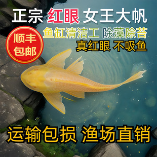 �S�������ԼS�㵭ˮ�~�Ꭷ�^�p�~�~���坍�����B�ͻ��~������~