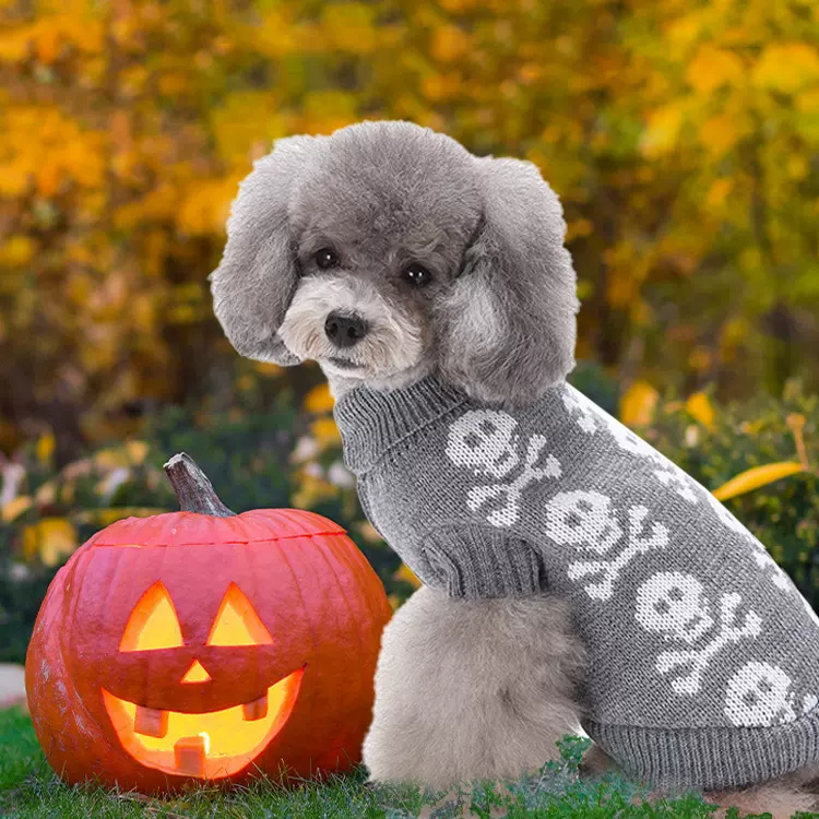 跨境秋冬热卖宠物服装泰迪比熊猫咪保暖针织毛衣高领连帽狗狗衣服