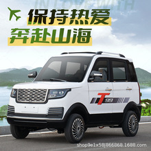 电动汽车四轮车成人油电两用全封闭新能源家用代步电瓶车轿车新款