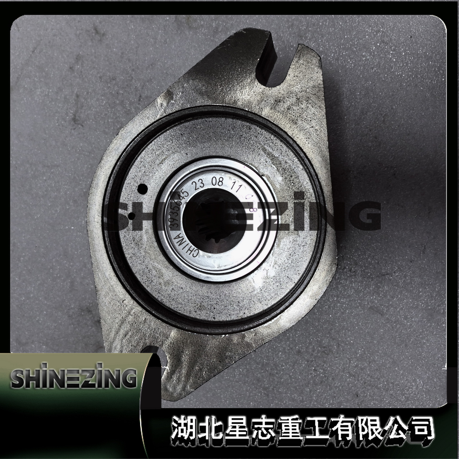 3939961/Gear Pump Internal Combustion Engine Internal Combustion Engine Engine Accessories Hydraulic Gear Pump 3939961