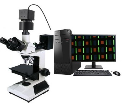 供应TVM-500系列 高倍视频显微镜