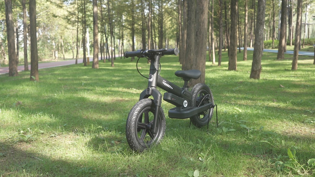DP-T12 (12)