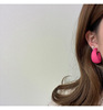 Matte silver needle, cute fashionable earrings, silver 925 sample, translucent shading, 2022 collection