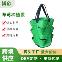 ë��10�ڟo������ݮ����@ˇ����ֲ�����L������3�Ӂ��Nֲ������