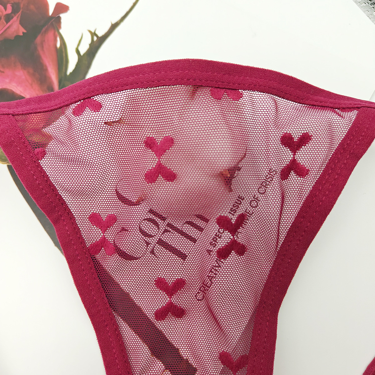 Bragas de encaje explosivas transfronterizas europeas y americanas, calzoncillos cómodos y sexys, jacquard de malla, pantalones en forma de V, tanga invisible