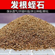 ��ʯ�w�����lǤ���¼����⻨�ܰ����Ϲ�������l�����|�I�B����