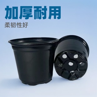 ��ɫ�pɫ��Nֲ���绨��������ԼӺ��͕�S�����l