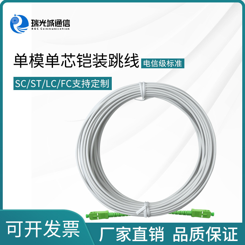 White 3.0mm3 M 5 M 10 m 20 m SC/LC/ST/FC single-mode single-core armored fiber optic jumper White 3.0mm3 M 5 M 10 m 20 m SC/LC/ST/FC single-mode single-core armored fiber optic jumper