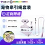 定制印花狗狗宠物牵引绳