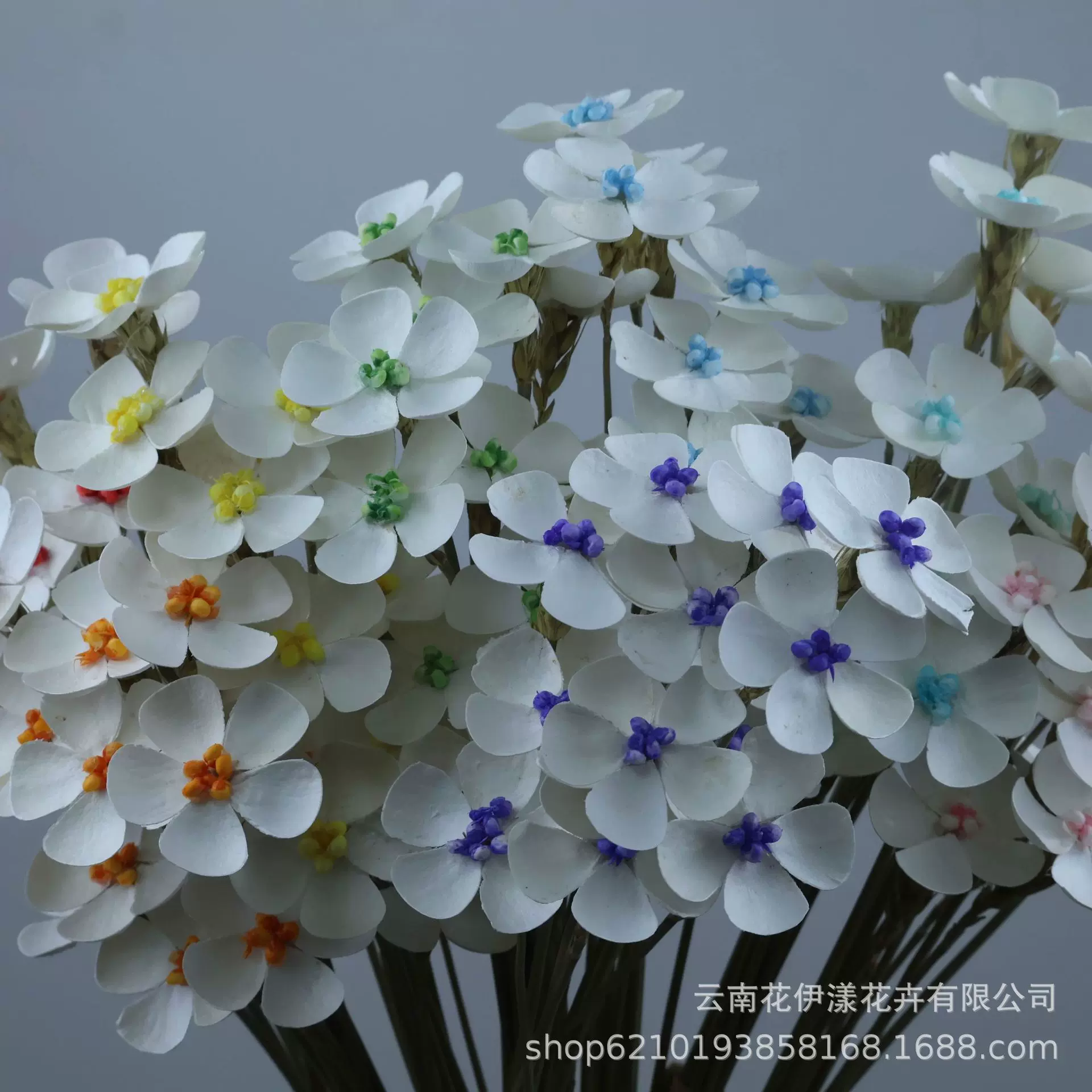 干花永生花花束紫罗兰DIY插花花材家居装饰摆件花艺仿摄影软装花