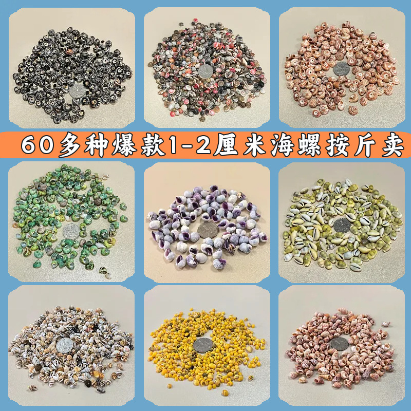 爆款1-2cm海螺按斤卖混装贝沙手工diy摆台制作漂流瓶