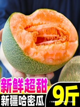 正宗新疆哈密瓜10斤新鲜水果西州蜜瓜25号老汉瓜一整箱网纹甜瓜无