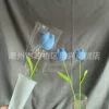 Tulip flavor light blue