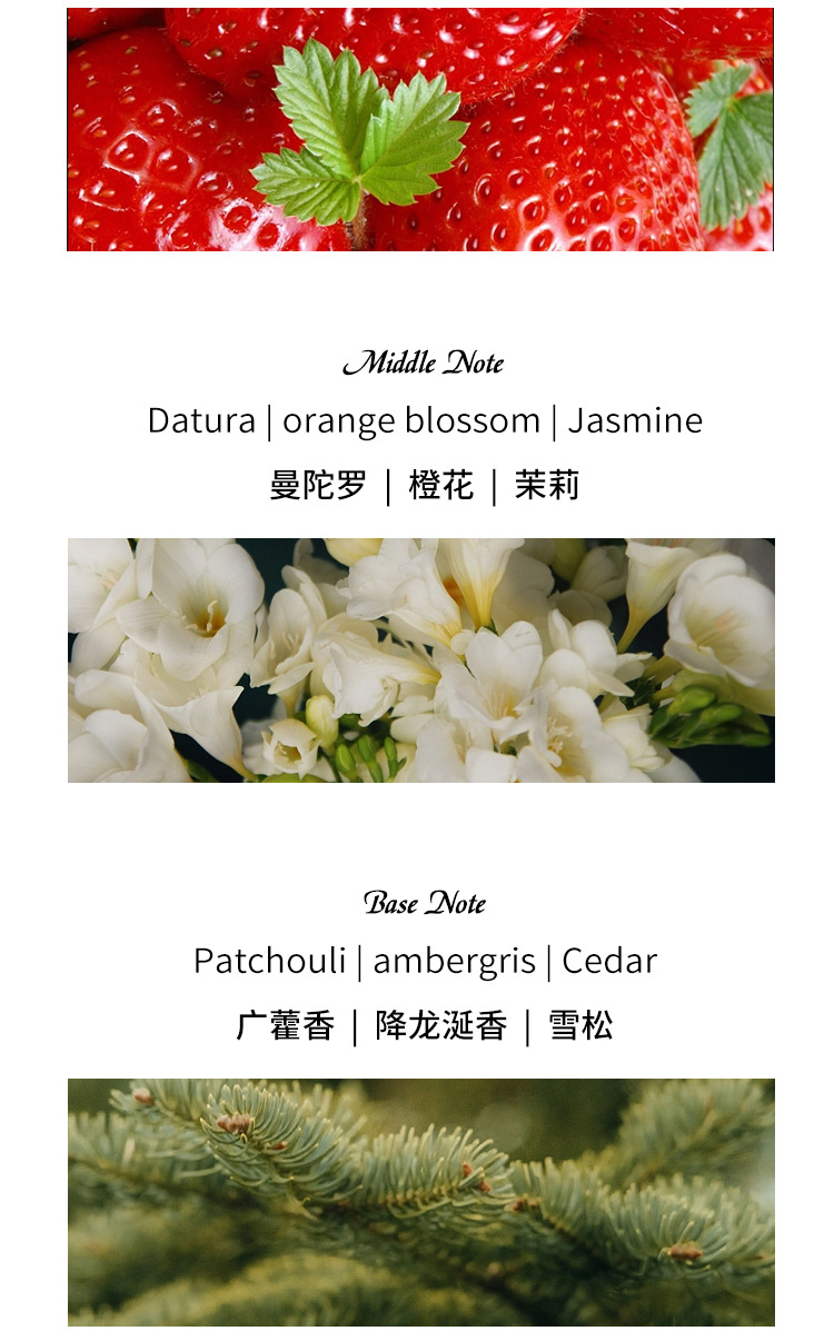 Xiaocheng Yixiang's new Harvey's Water men's perfume, cross-border export bestseller William's Water Cologne wholesale undefined